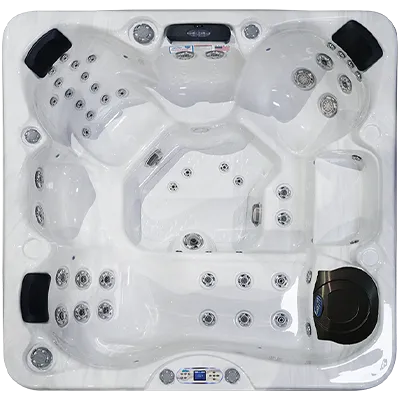 Avalon EC-849L hot tubs for sale in Pasadena