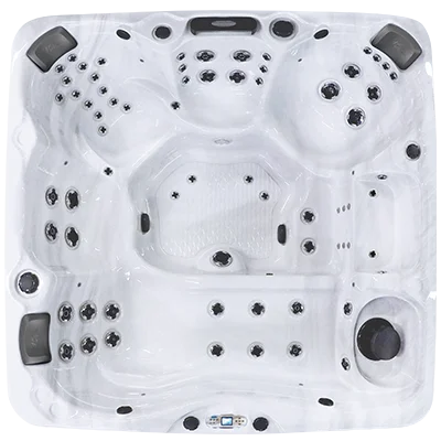 Avalon EC-867L hot tubs for sale in Pasadena